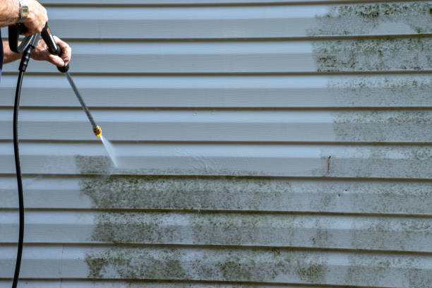 Best Hoarding Cleanup  in Steele, MO
